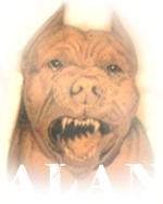 Компанія VK-ALAN